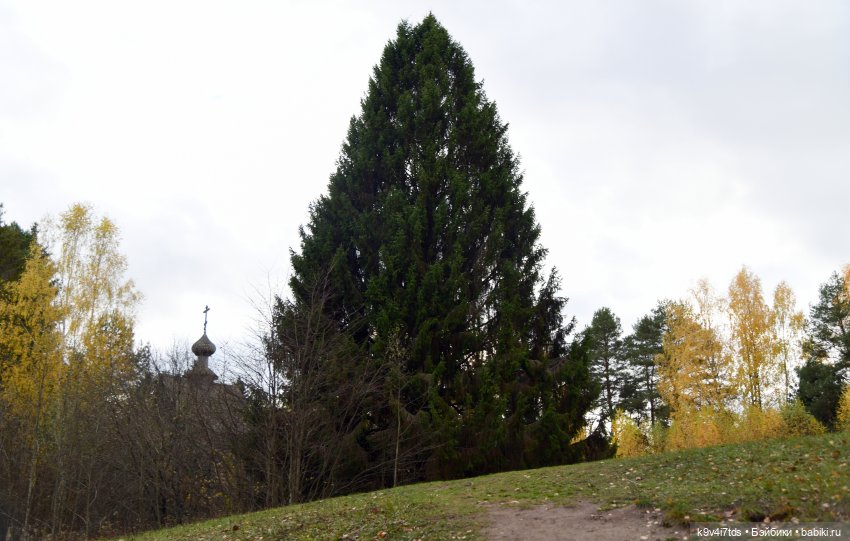 Хэппи и Джия в "Василёво", заключительная часть