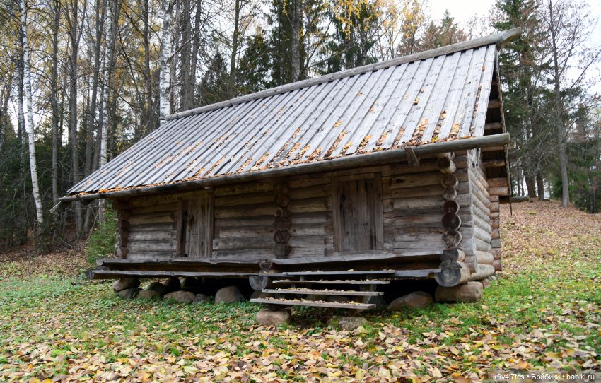 Хэппи и Джия в "Василёво", заключительная часть