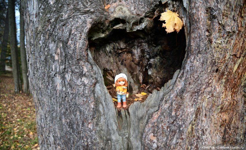 Хэппи и Джия в "Василёво", заключительная часть