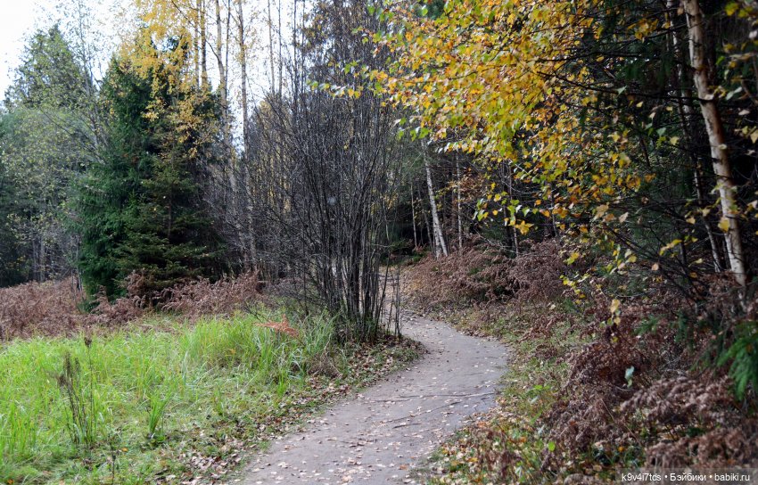 Хэппи и Джия в "Василёво", заключительная часть