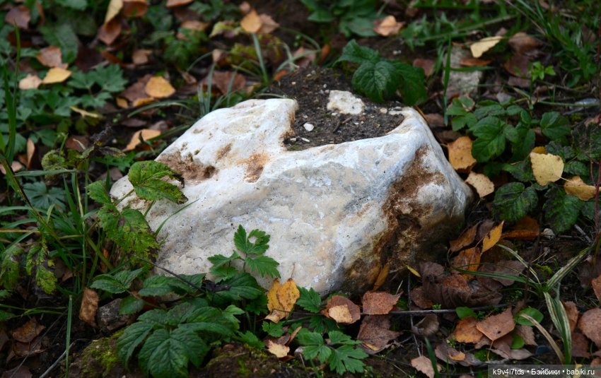 Хэппи и Джия в "Василёво", заключительная часть