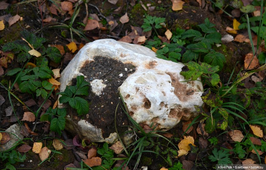 Хэппи и Джия в "Василёво", заключительная часть