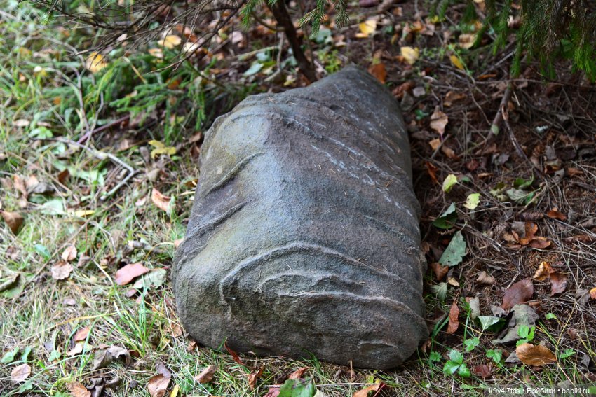 Хэппи и Джия в "Василёво", заключительная часть