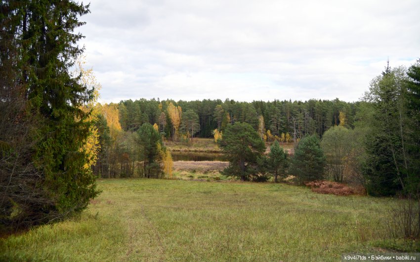 Хэппи и Джия в "Василёво", заключительная часть