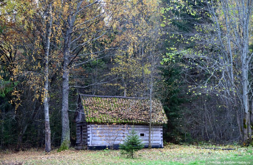 Хэппи и Джия в "Василёво", заключительная часть