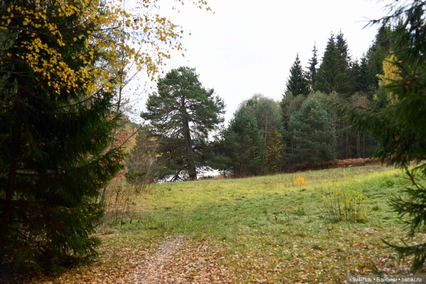 Хэппи и Джия в "Василёво", заключительная часть