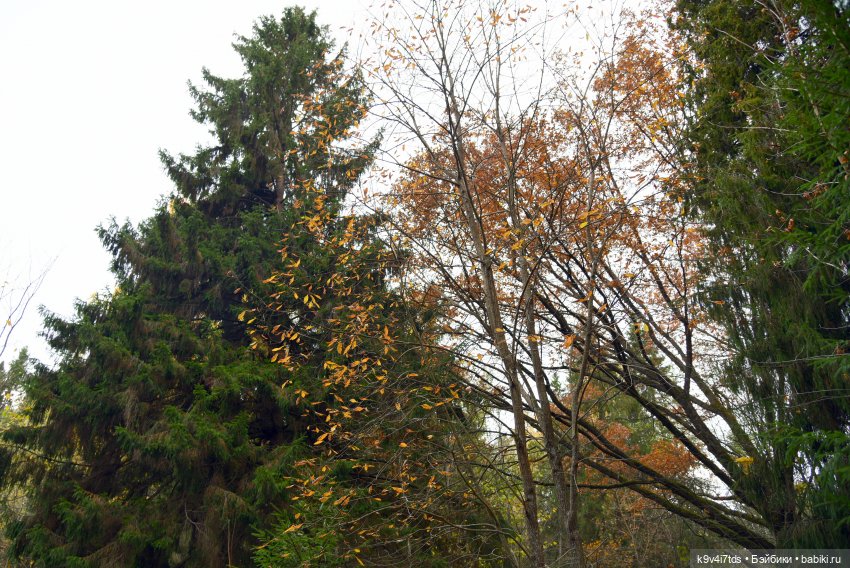 Хэппи и Джия в "Василёво", заключительная часть