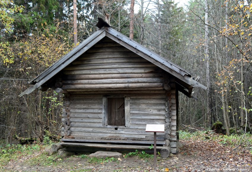 Хэппи и Джия в "Василёво", заключительная часть