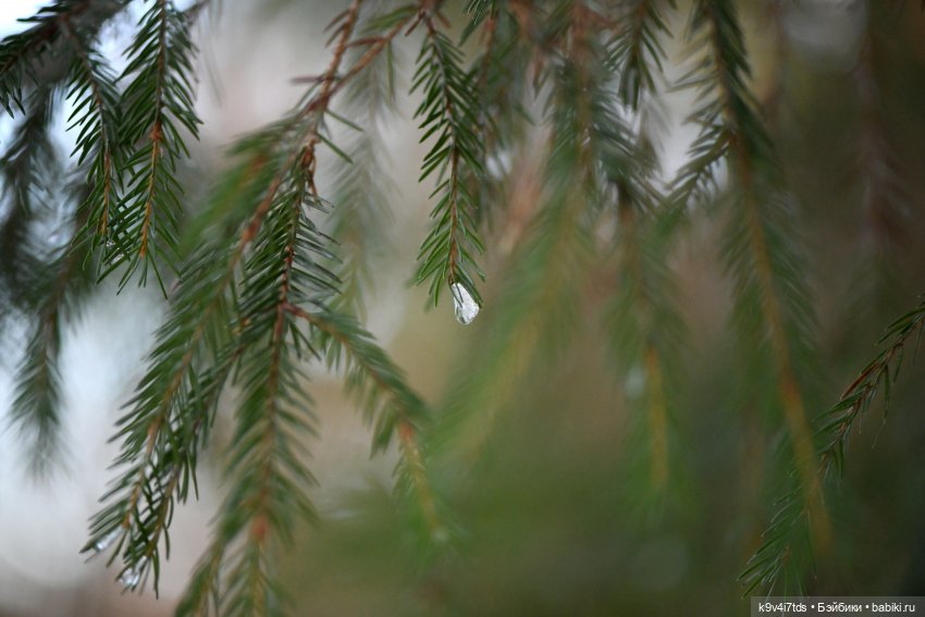 Алеся и Зимний Лес — Куклы Sylvia Natterer (Сильвия Наттерер): Gotz