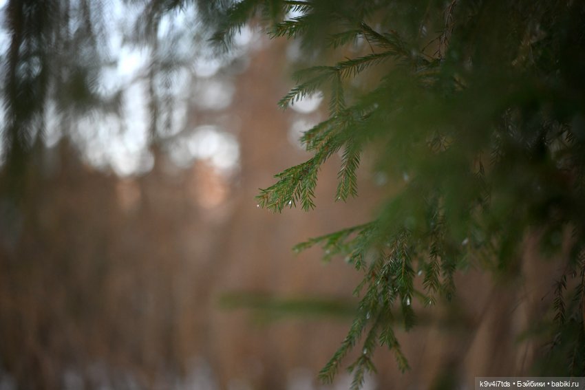 Алеся и Зимний Лес — Куклы Sylvia Natterer (Сильвия Наттерер): Gotz (фото 10)