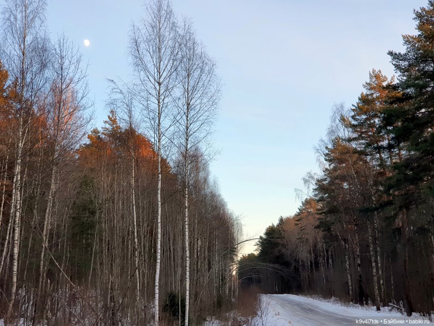 Алеся и Зимний Лес — Куклы Sylvia Natterer (Сильвия Наттерер): Gotz