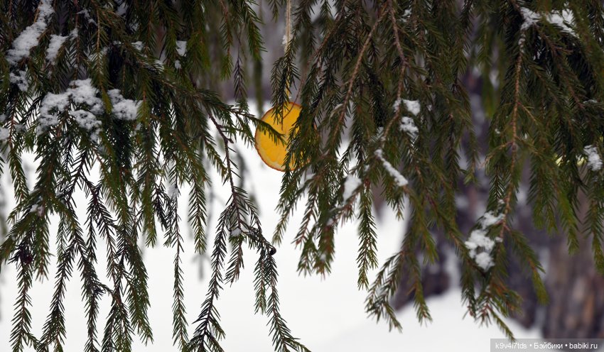 Праздник Масленицы в Усадьбе "Василёво", часть первая