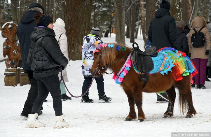 Праздник Масленицы в Усадьбе "Василёво", часть первая (фото 5)