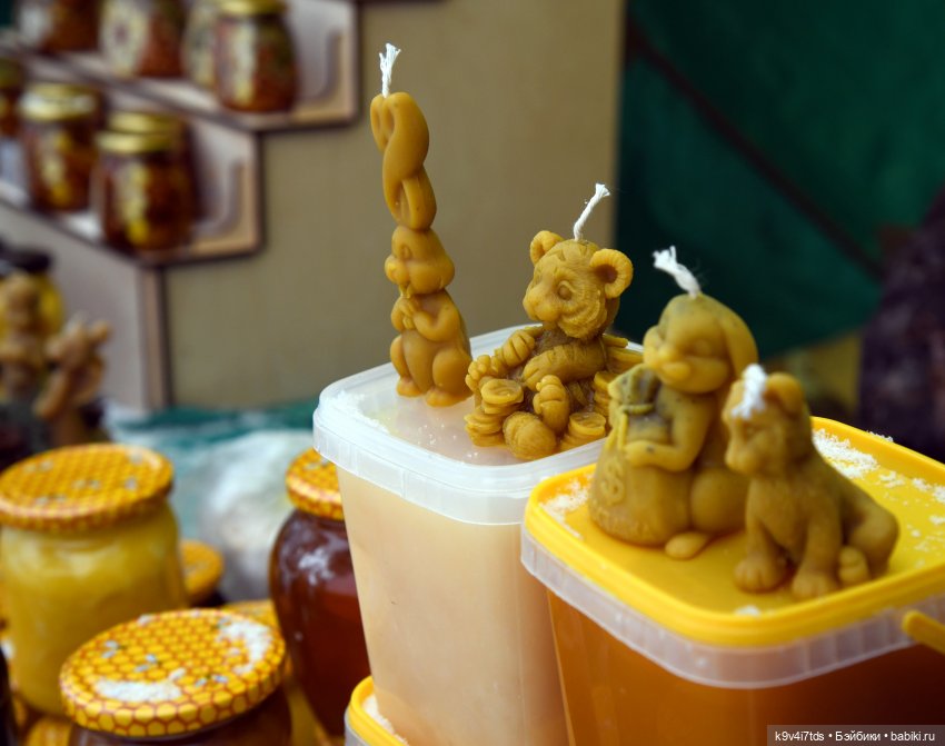 Праздник Масленицы в Усадьбе "Василёво", часть первая