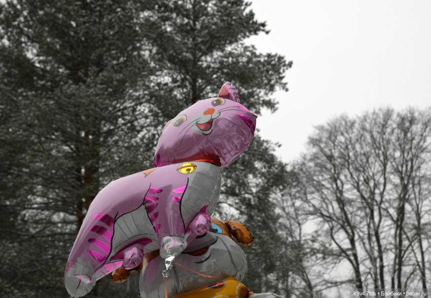 Праздник Масленицы в Усадьбе "Василёво", часть первая