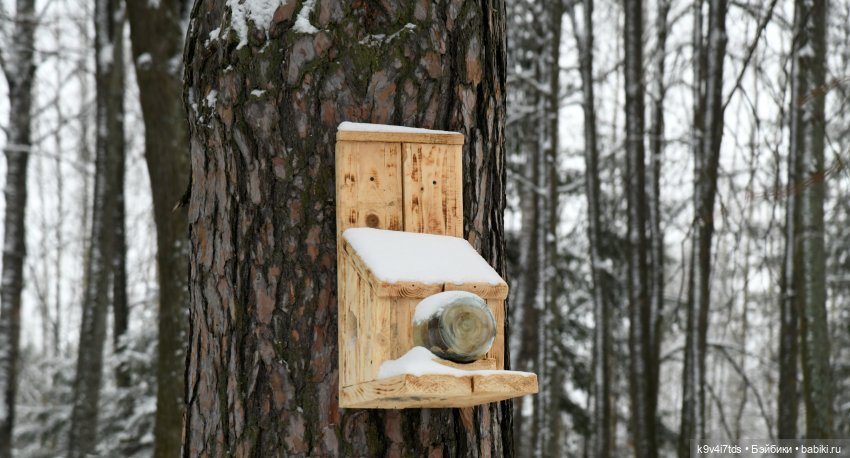 Праздник Масленицы в Усадьбе "Василёво", часть первая (фото 10)