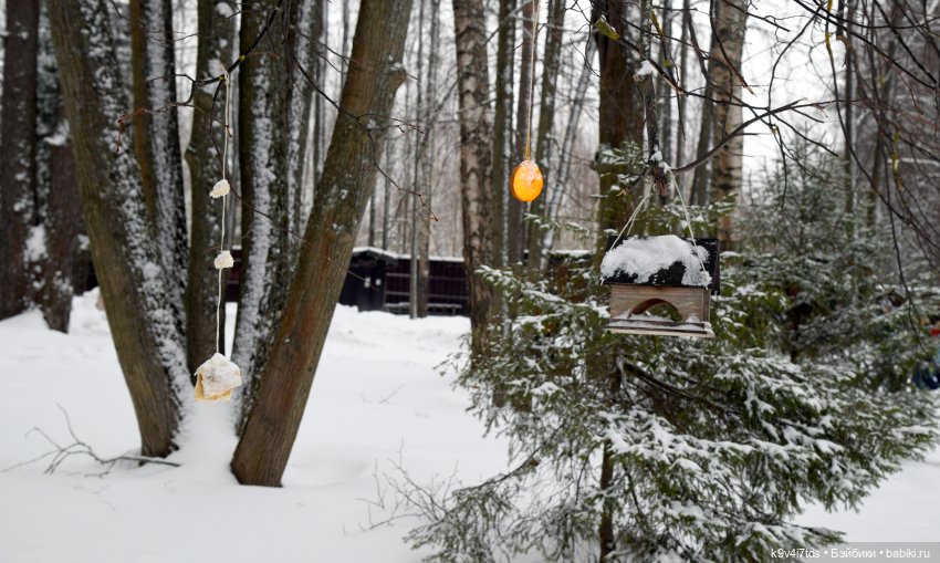 Праздник Масленицы в Усадьбе "Василёво", часть первая