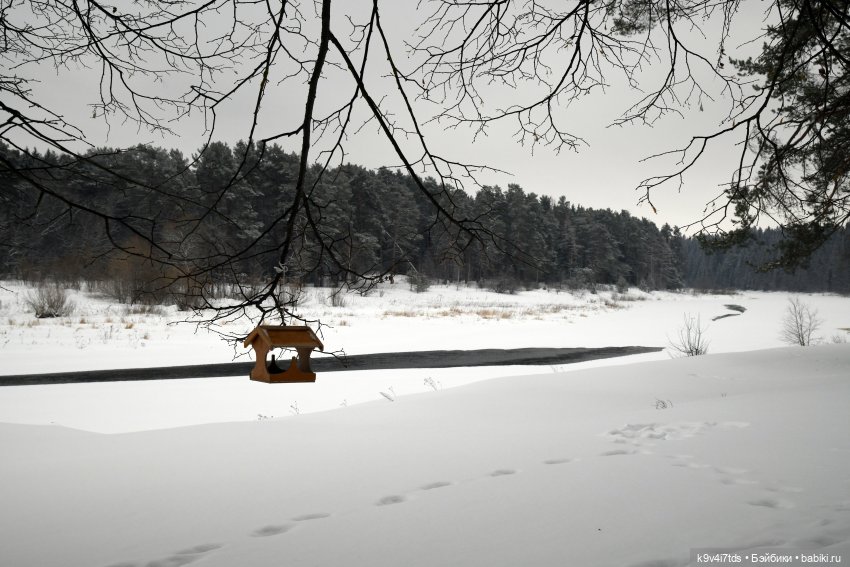 Праздник Масленицы в Усадьбе "Василёво", часть первая
