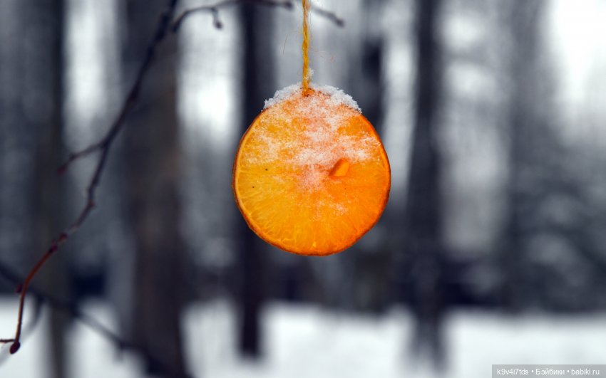 Праздник Масленицы в Усадьбе "Василёво", часть первая