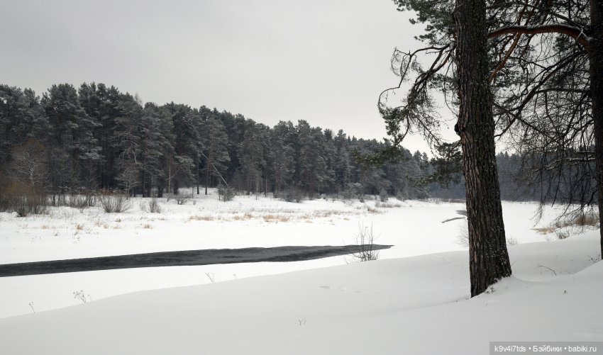 Праздник Масленицы в Усадьбе "Василёво", часть первая