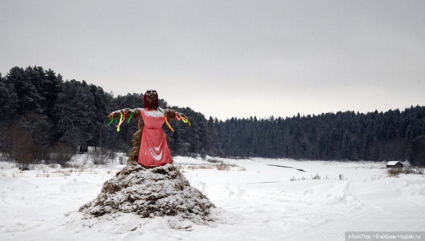 Праздник Масленицы в Усадьбе "Василёво", часть первая (фото 6)