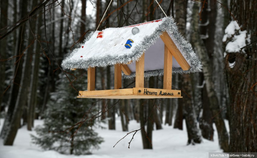 Праздник Масленицы в Усадьбе "Василёво", часть первая (фото 9)