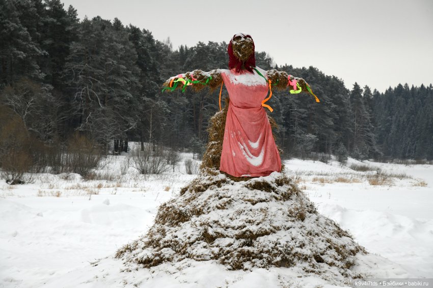 Праздник Масленицы в Усадьбе "Василёво", часть первая (фото 7)