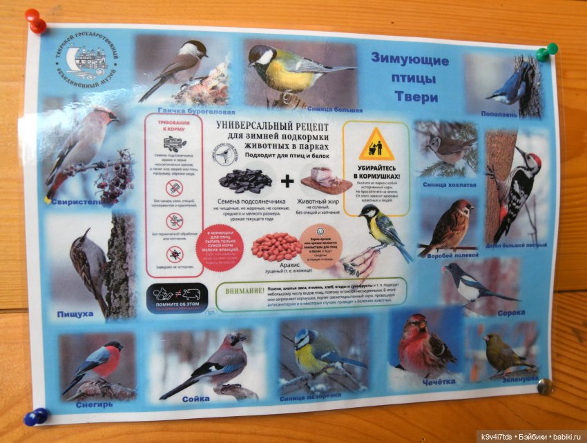 Праздник Масленицы в Усадьбе "Василёво", часть первая (фото 3)