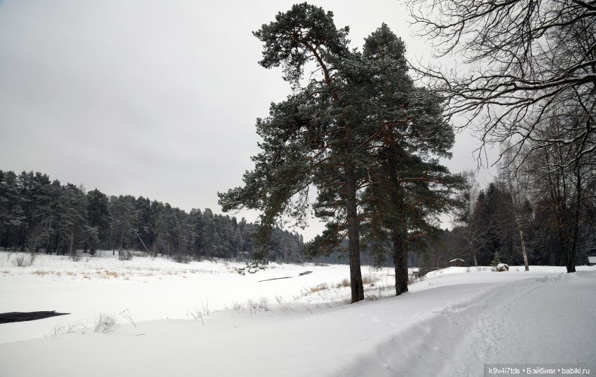 Праздник Масленицы в Усадьбе "Василёво", часть первая