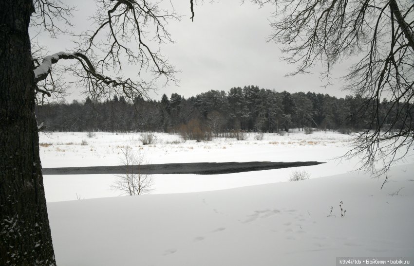 Праздник Масленицы в Усадьбе "Василёво", часть первая