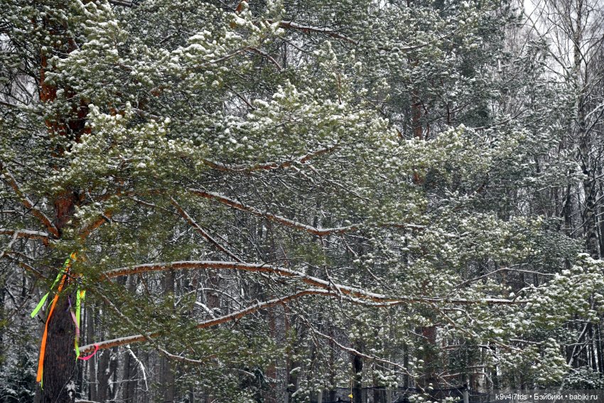 Праздник Масленицы в Усадьбе "Василёво", часть первая