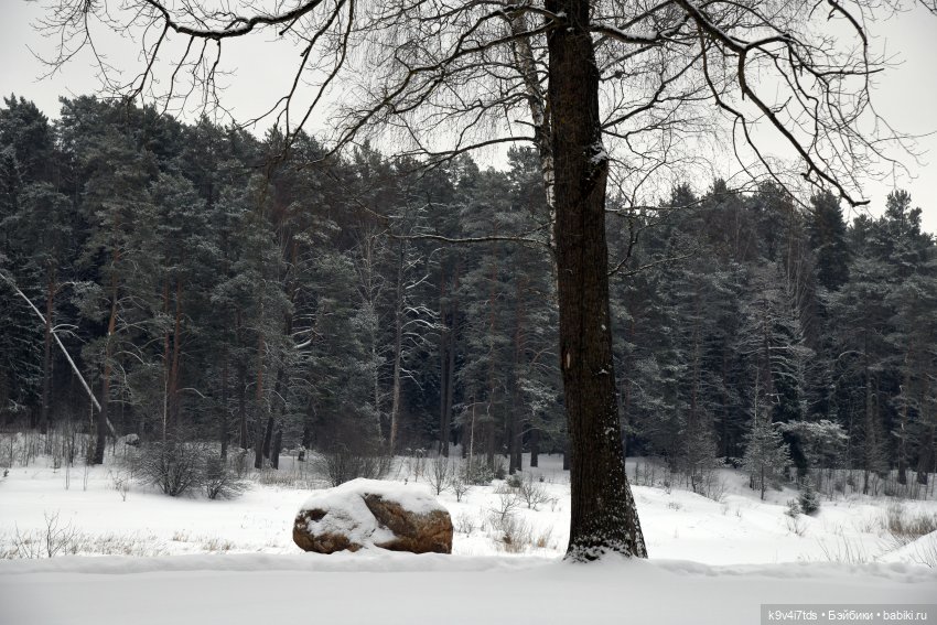 Праздник Масленицы в Усадьбе "Василёво", часть первая
