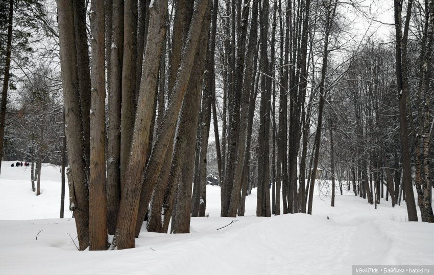 Праздник Масленицы в Усадьбе "Василёво", часть первая