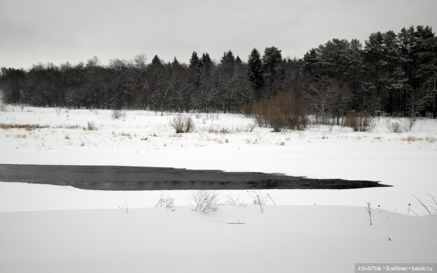 Праздник Масленицы в Усадьбе "Василёво", часть первая