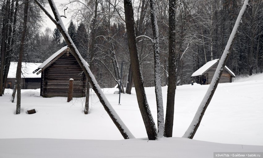 Праздник Масленицы в Усадьбе "Василёво", часть вторая (фото 2)