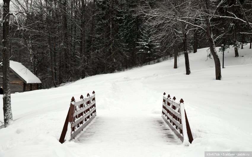 Праздник Масленицы в Усадьбе "Василёво", часть вторая (фото 3)