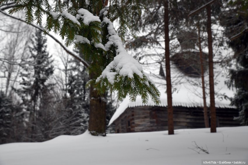 Праздник Масленицы в Усадьбе "Василёво", часть вторая (фото 6)