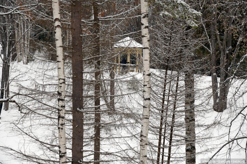 Праздник Масленицы в Усадьбе "Василёво", часть вторая (фото 8)