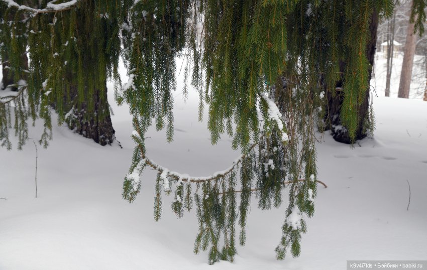 Праздник Масленицы в Усадьбе "Василёво", часть вторая