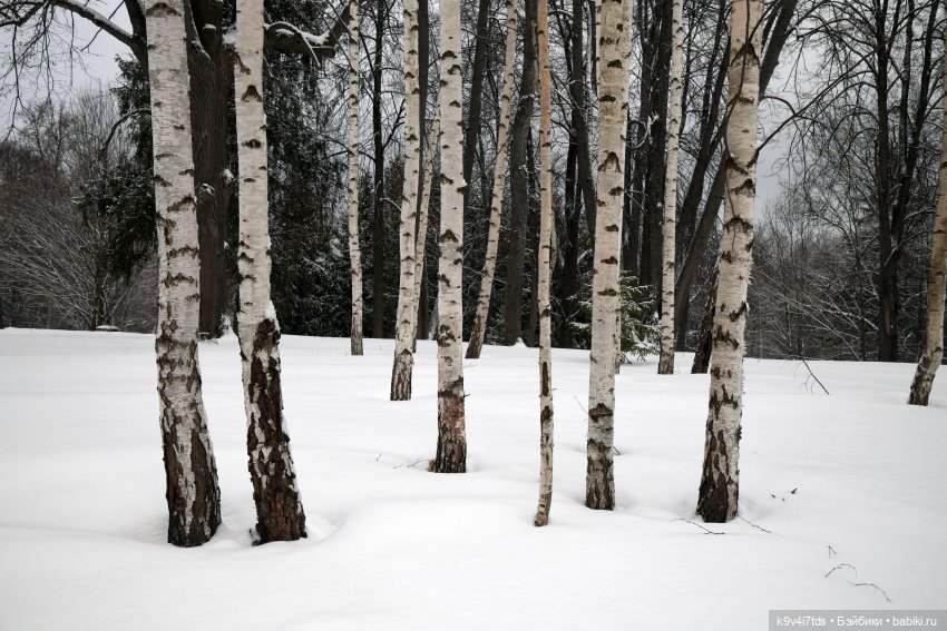 Праздник Масленицы в Усадьбе "Василёво", часть вторая