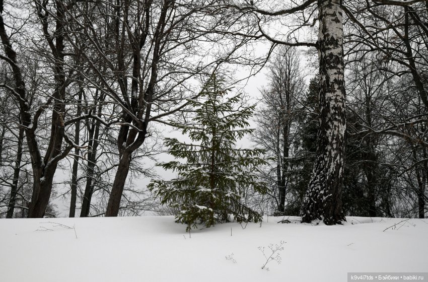 Праздник Масленицы в Усадьбе "Василёво", часть вторая