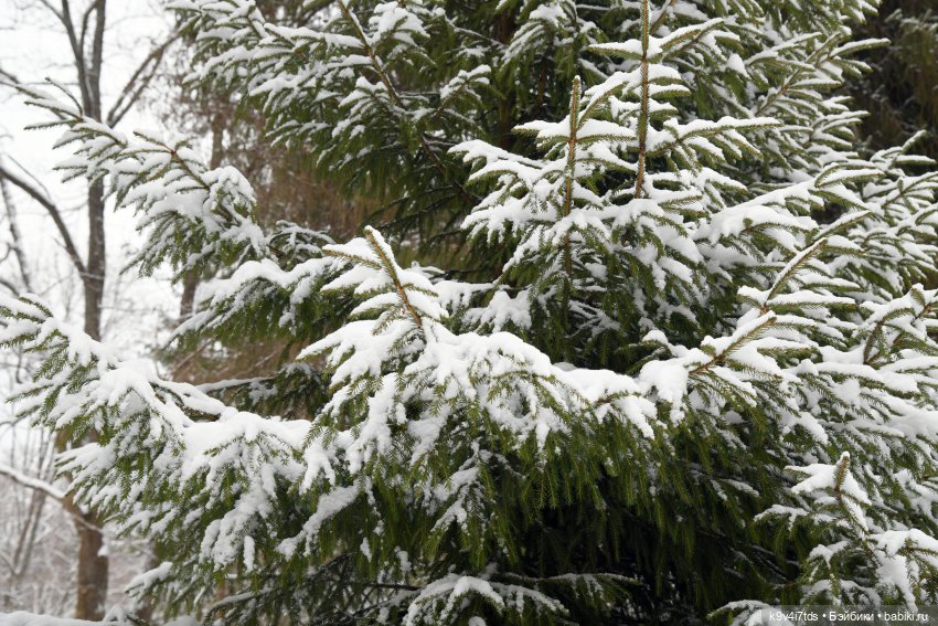 Праздник Масленицы в Усадьбе "Василёво", часть вторая