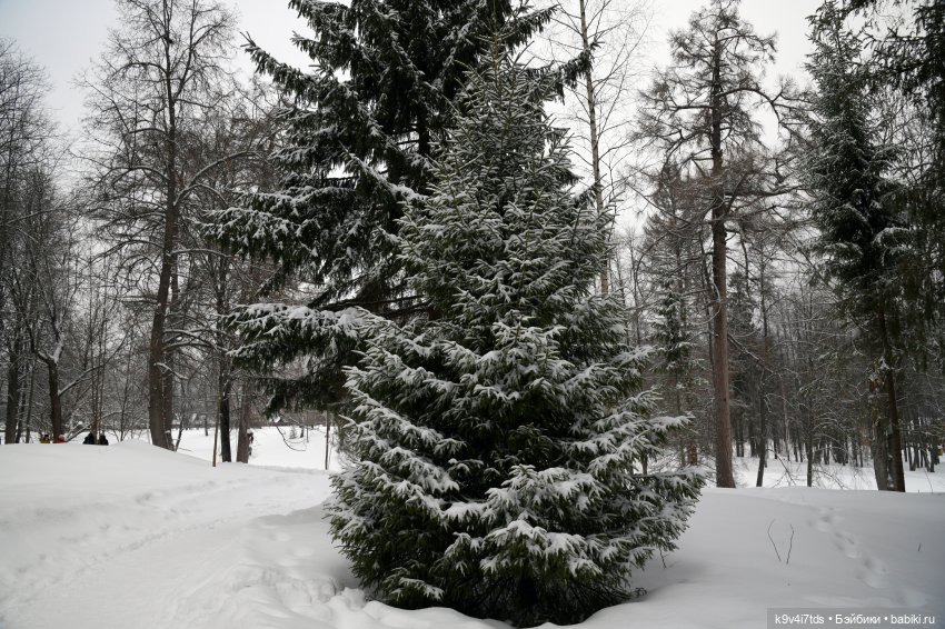Праздник Масленицы в Усадьбе "Василёво", часть вторая