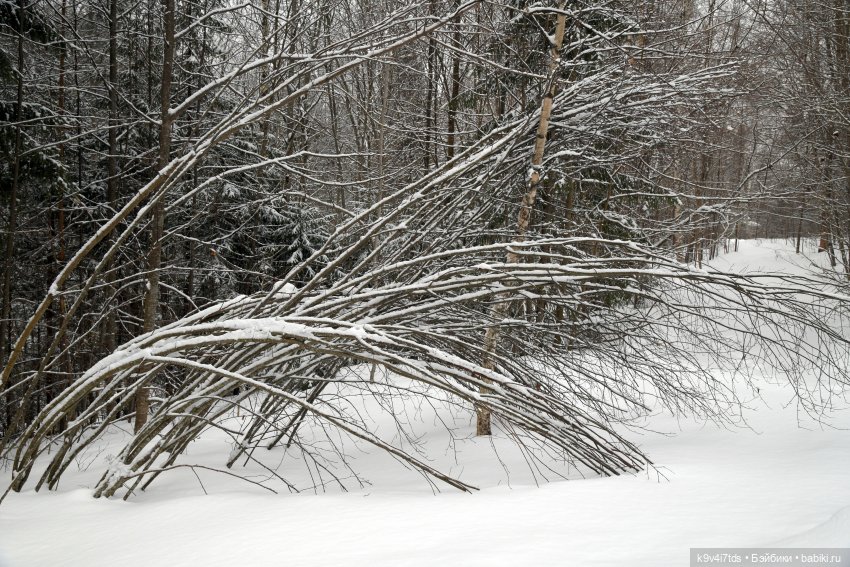 Праздник Масленицы в Усадьбе "Василёво", часть вторая