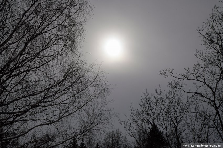 Праздник Масленицы в Усадьбе "Василёво", часть вторая