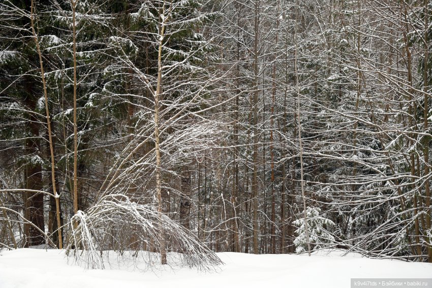 Праздник Масленицы в Усадьбе "Василёво", часть вторая