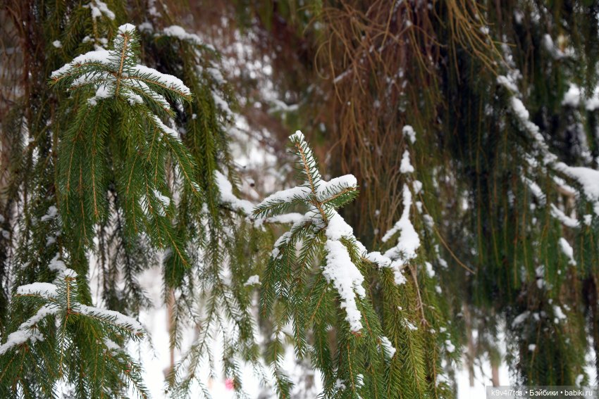 Праздник Масленицы в Усадьбе "Василёво", часть вторая