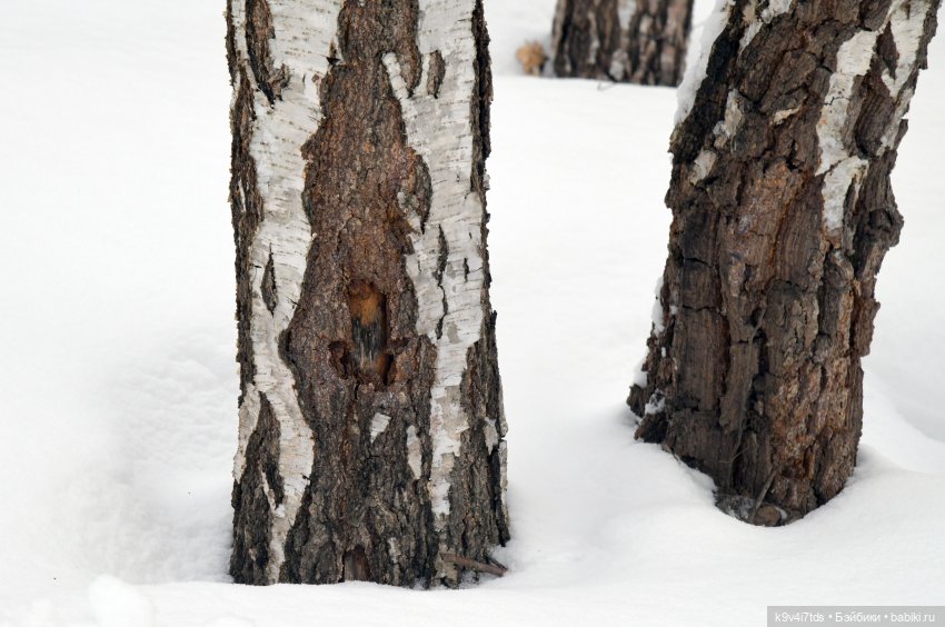 Праздник Масленицы в Усадьбе "Василёво", часть вторая