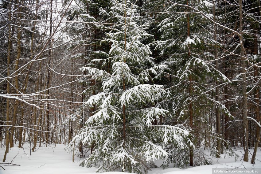 Праздник Масленицы в Усадьбе "Василёво", часть вторая
