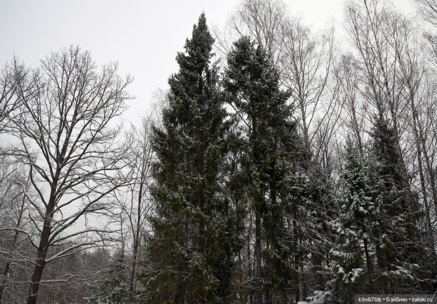 Праздник Масленицы в Усадьбе "Василёво", часть вторая